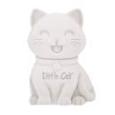 Little Cat - New Car